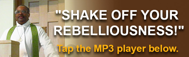 7-7-2024-SHAKE-OFF-YOUR-REBELLIOUSNESS.jpg