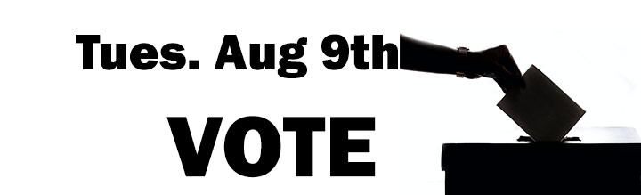 Voting-Reminder-Banner-8-9-2022.jpg