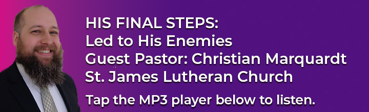 3-15-2023-Lenten-Message,-His-Final-Steps-Led-to-His-Enemies.jpg